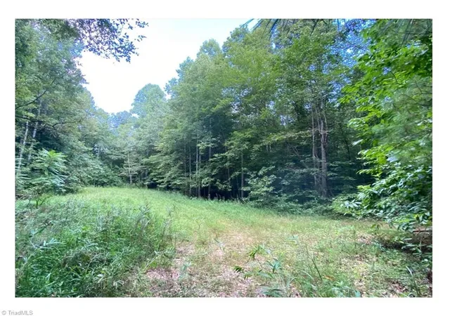 Photo 4 of Land for sale at Tbd Barlowe Pl, Lenoir, NC 28645 | MLS# 1203459 | Listing updated on 2026-08-18