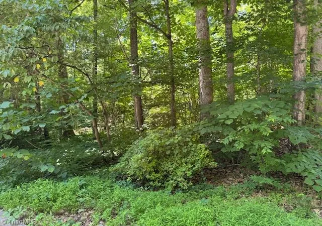 1st image of 271 Holly Ln, Mocksville, NC 27028 | MLS# 1223272