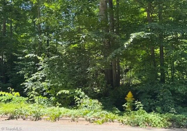 5th image of 271 Holly Ln, Mocksville, NC 27028 | MLS# 1223272