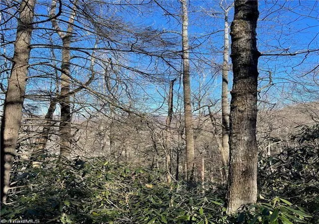 Homes for sale in Banner Elk, NC | Lot E 15 Laurel Ridge Rd, Banner Elk, NC 28604 | MLS# 1200520