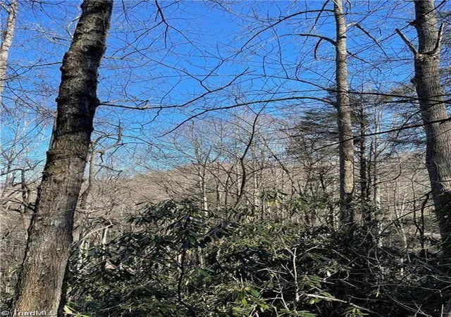 Homes for sale in Banner Elk, NC | Lot E-15 Laurel Ridge Rd, Banner Elk, NC 28604 | MLS# 1200520