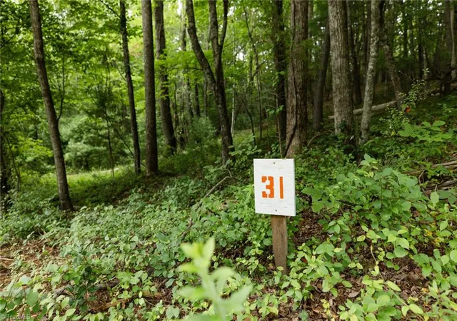 1st image of Tbd Mcintosh Dr, Lowgap, NC 27024 | MLS# 1227383