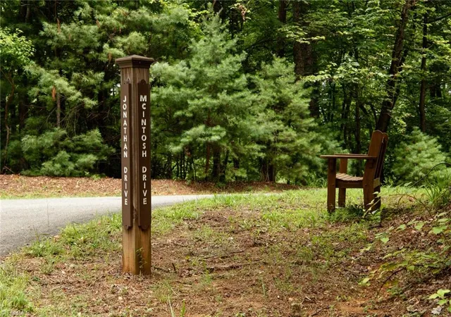 2nd image of Tbd Mcintosh Dr, Lowgap, NC 27024 | MLS# 1227383