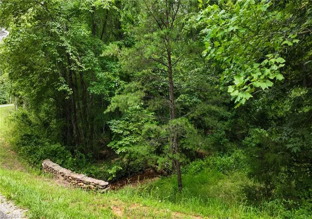 3rd image of Tbd Mcintosh Dr, Lowgap, NC 27024 | MLS# 1227383