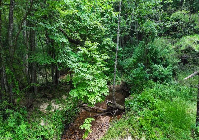 4th image of Tbd Mcintosh Dr, Lowgap, NC 27024 | MLS# 1227383