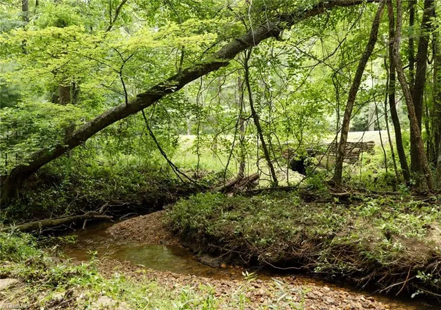5th image of Tbd Mcintosh Dr, Lowgap, NC 27024 | MLS# 1227383