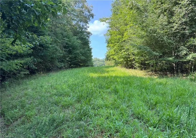 Photo 3 of Land for sale at 0 Edwards Farm Rd, King, NC 27021 | MLS# 1228789 | Listing updated on 2026-08-03