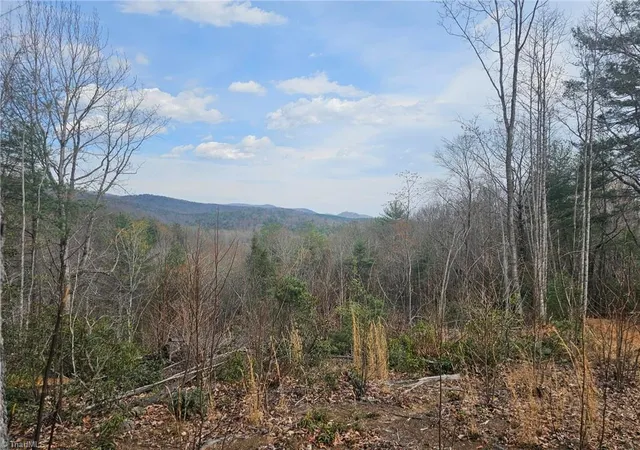 Homes for sale in Mc Grady, NC | Lot 2 Widow Mountain Dr, Mc Grady, NC 28635 | MLS# 1213314