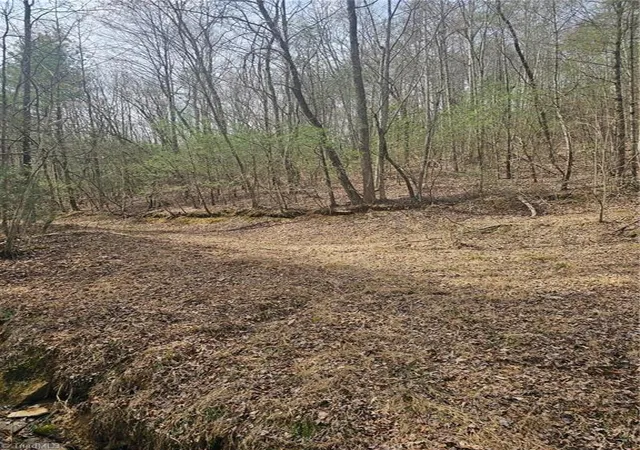 Homes for sale in Mc Grady, NC | Lot 2 Widow Mountain Dr, Mc Grady, NC 28635 | MLS# 1213314