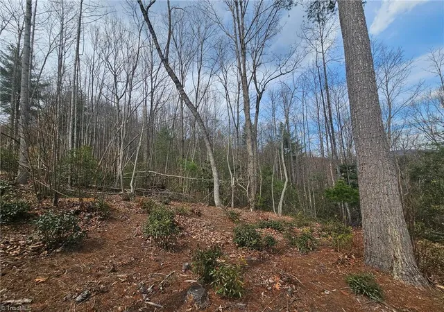 Homes for sale in Mc Grady, NC | Lot 2 Widow Mountain Dr, Mc Grady, NC 28635 | MLS# 1213314