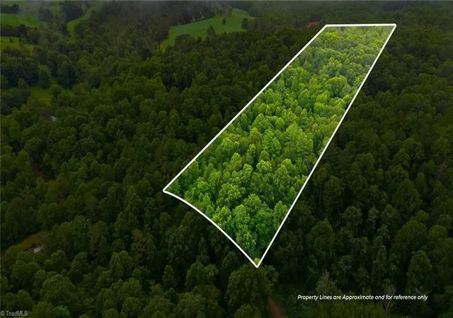 Photo 1 of Land for sale at 000 Brewer Ml Rd Ext, Traphill, NC 28685 | MLS# 1229967 | Listing updated on 2026-08-14