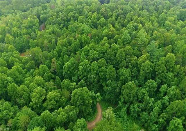 Photo 2 of Land for sale at 000 Brewer Ml Rd Ext, Traphill, NC 28685 | MLS# 1229967 | Listing updated on 2026-08-14