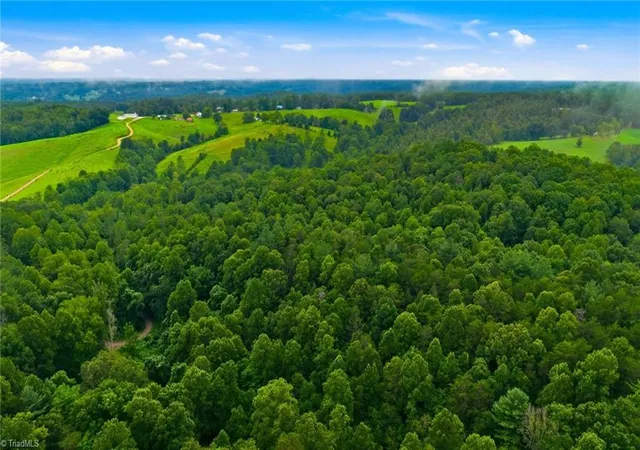Photo 3 of Land for sale at 000 Brewer Ml Rd Ext, Traphill, NC 28685 | MLS# 1229967 | Listing updated on 2026-08-14