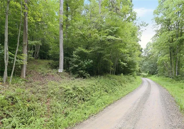 Photo 4 of Land for sale at 000 Brewer Ml Rd Ext, Traphill, NC 28685 | MLS# 1229967 | Listing updated on 2026-08-14