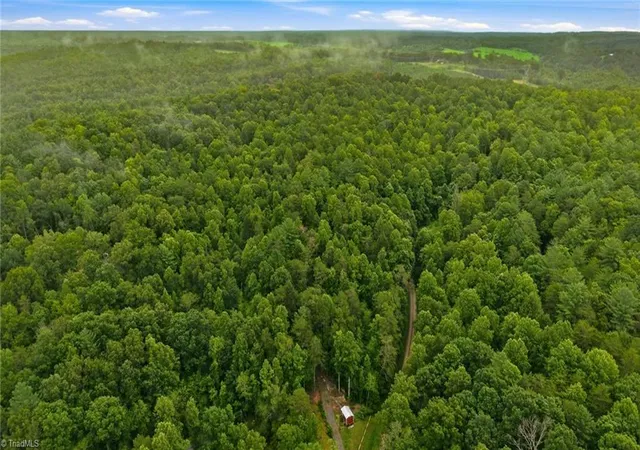 Photo 5 of Land for sale at 000 Brewer Ml Rd Ext, Traphill, NC 28685 | MLS# 1229967 | Listing updated on 2026-08-14