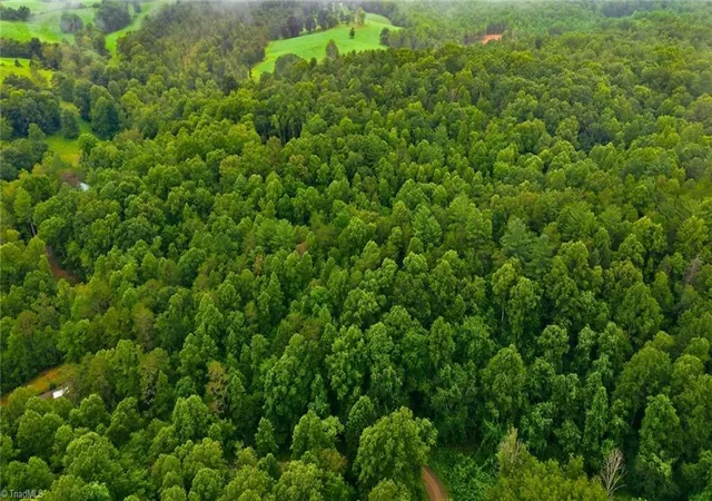 Photo 8 of Land for sale at 000 Brewer Ml Rd Ext, Traphill, NC 28685 | MLS# 1229967 | Listing updated on 2026-08-14
