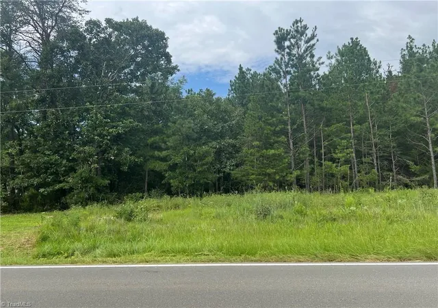 1st image of 0 N Nc Hwy 49, Mebane, NC 27302 | MLS# 1231126