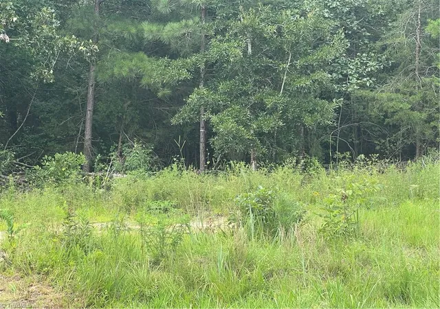 4th image of 0 N Nc Hwy 49, Mebane, NC 27302 | MLS# 1231126