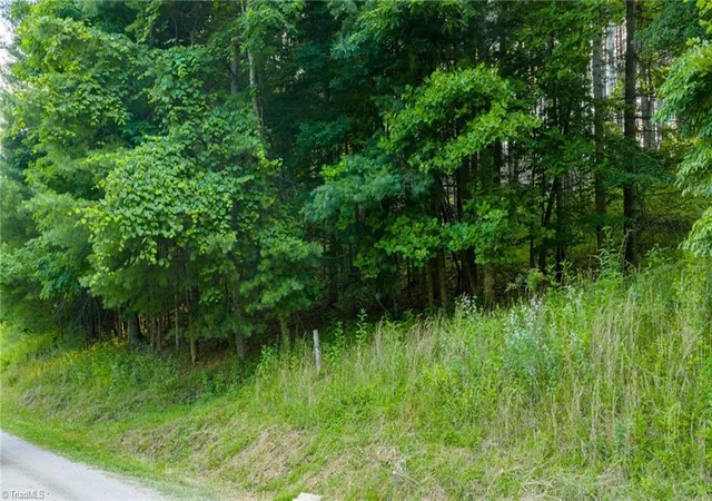 Homes for sale in Crumpler, NC | Tbd 16 Bill Cooper Rd, Crumpler, NC 28617 | MLS# 1200319