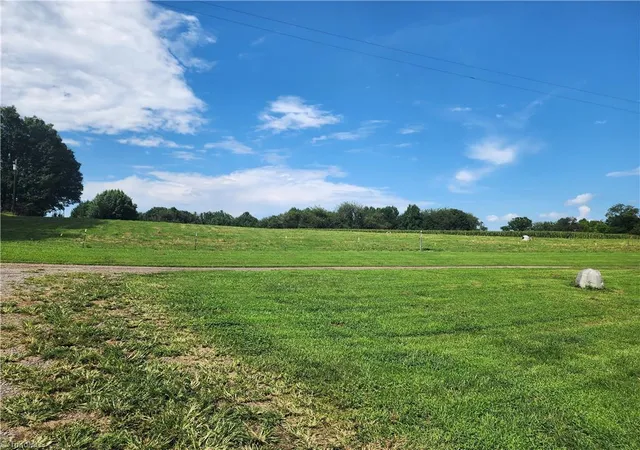 47th image of 167 Buck Hollow Trl, Ararat, NC 27007 | MLS# 1193608