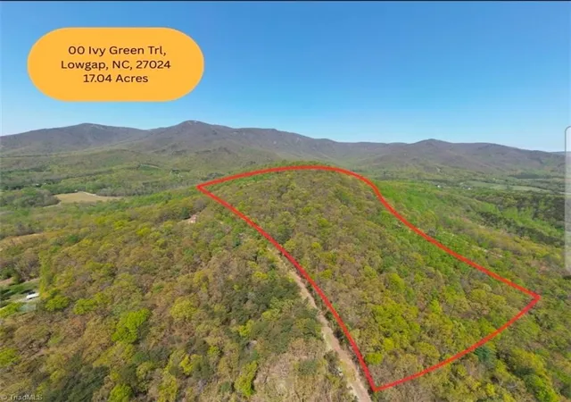 11th image of Tbd Ivy Green Trl, Lowgap, NC 27024 | MLS# 1229901