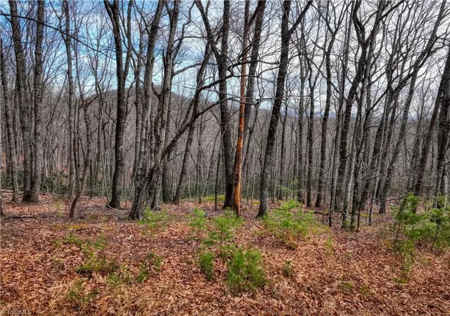 2nd image of Tbd Ivy Green Trl, Lowgap, NC 27024 | MLS# 1229901