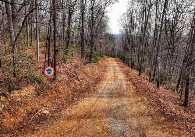 Photo 3 of Land for sale at Tbd Ivy Green Trl, Lowgap, NC 27024 | MLS# 1229901 | Listing updated on 2026-08-05