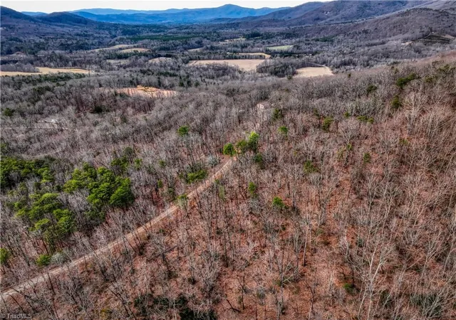 Photo 3 of Land for sale at Tbd Ivy Green Trl, Lowgap, NC 27024 | MLS# 1229901 | Listing updated on 2026-08-05