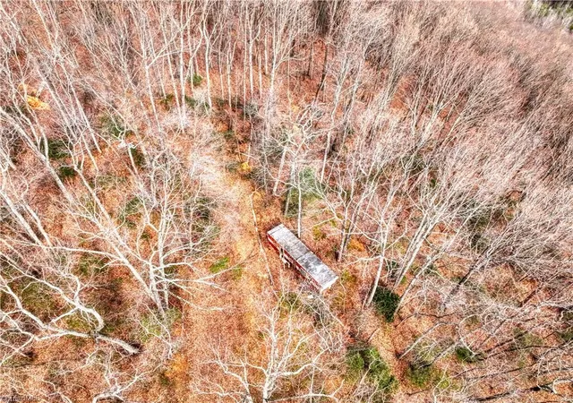 Photo 4 of Land for sale at Tbd Ivy Green Trl, Lowgap, NC 27024 | MLS# 1229901 | Listing updated on 2026-08-05