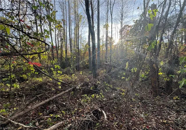 Homes for sale in Reidsville, NC | 00 Ne Market St #Tract C, Reidsville, NC 27320 | MLS# 1224743