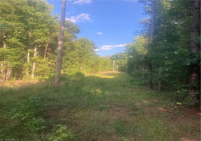 2nd image of 0 Graham Davis Rd, Denton, NC 27239 | MLS# 1230282