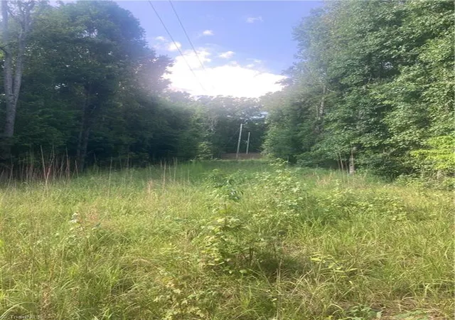 4th image of 0 Graham Davis Rd, Denton, NC 27239 | MLS# 1230282