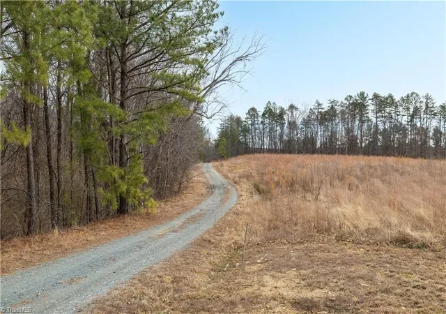 16th image of 00 Wellhouse Dr, Walnut Cove, NC 27052 | MLS# 1227883