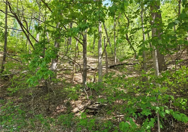 1st image of Tbd Price Rd, Moravian Falls, NC 28654 | MLS# 1217561