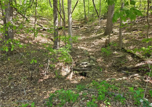2nd image of Tbd Price Rd, Moravian Falls, NC 28654 | MLS# 1217561