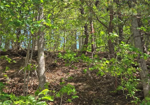 3rd image of Tbd Price Rd, Moravian Falls, NC 28654 | MLS# 1217561