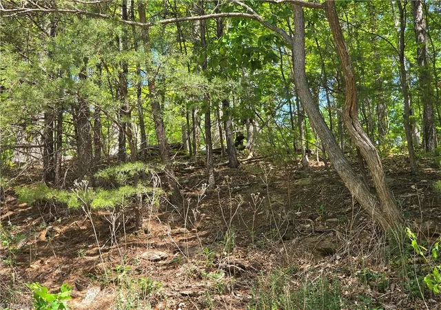 4th image of Tbd Price Rd, Moravian Falls, NC 28654 | MLS# 1217561