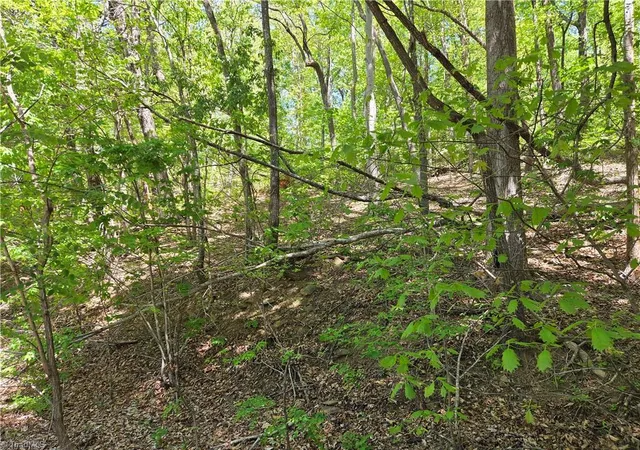 5th image of Tbd Price Rd, Moravian Falls, NC 28654 | MLS# 1217561