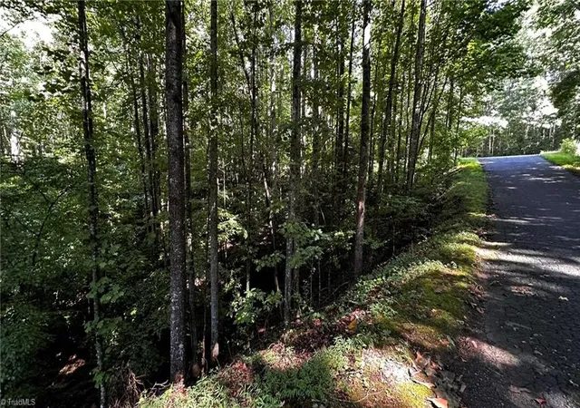 Homes for sale in Wilkesboro, NC | 00B Higgins Rd, Wilkesboro, NC 28697 | MLS# 1227137