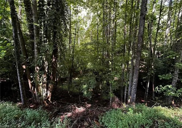 Homes for sale in Wilkesboro, NC | 00B Higgins Rd, Wilkesboro, NC 28697 | MLS# 1227137
