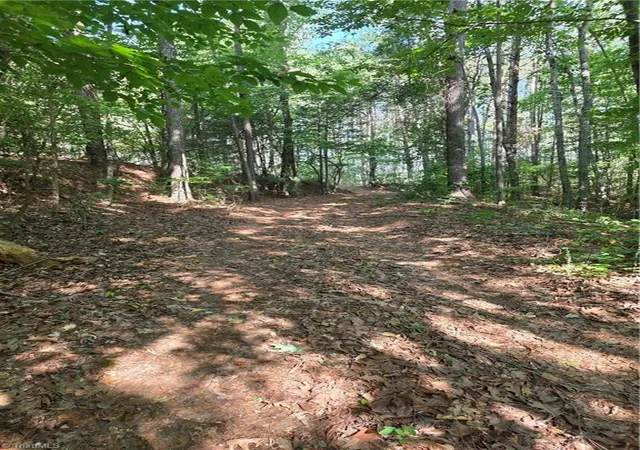 Photo 4 of Land for sale at Xx 3185 +-ac Hampton Rd, Germanton, NC 27019 | MLS# 1224423 | Listing updated on 2026-06-24