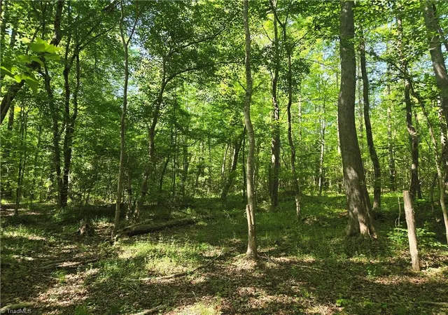 Homes for sale in Graham, NC | 0 Snow Camp Rd, Graham, NC 27253 | MLS# 1217694