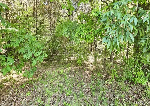 4th image of 0 Eden Rd, Stoneville, NC 27048 | MLS# 1226290
