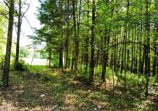 5th image of 0 Eden Rd, Stoneville, NC 27048 | MLS# 1226290