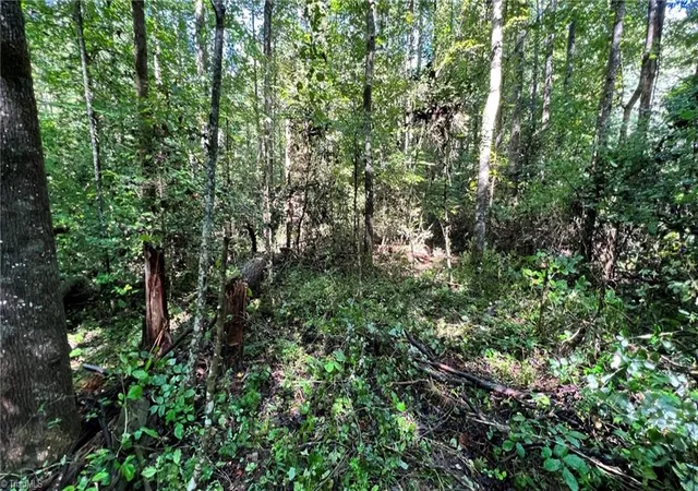 12th image of Tbd2 Barlowe Pl, Lenoir, NC 28645 | MLS# 1203060