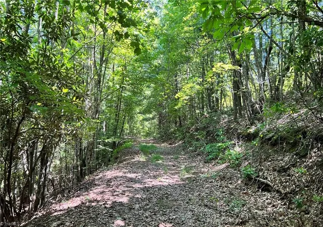 1st image of Tbd2 Barlowe Pl, Lenoir, NC 28645 | MLS# 1203060