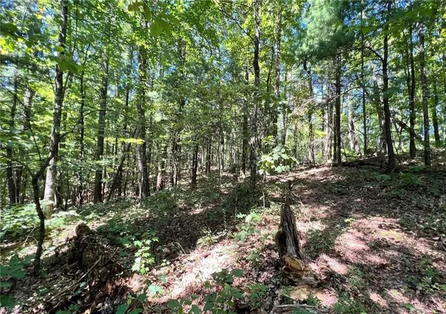 5th image of Tbd2 Barlowe Pl, Lenoir, NC 28645 | MLS# 1203060