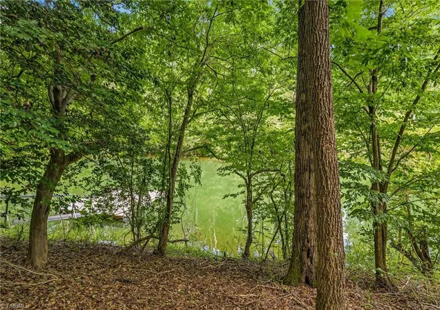 Photo 21 of Land for sale at Tbd Willowbrook Ln, Wilkesboro, NC 28697 | MLS# 1231552 | Listing updated on 2026-08-19