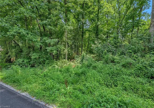 Photo 3 of Land for sale at Tbd Raven Oak Dr, Wilkesboro, NC 28697 | MLS# 1232870 | Listing updated on 2026-08-28