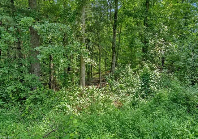 Photo 4 of Land for sale at Tbd Raven Oak Dr, Wilkesboro, NC 28697 | MLS# 1232870 | Listing updated on 2026-08-28